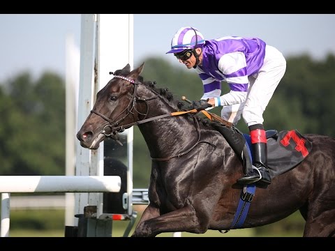Köln: Cagliostro Zweijährigen Trophy (Listenrennen) - Sieger: Palace Prince
