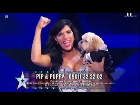 Pippa & Buddy reaching the live semi finals on Britain's Got Talent in 2011