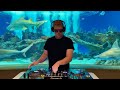 Sundowner House Mix Aquarium Edition