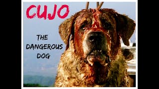 The Dangerous Dog Cujo Full Movie in Hindi
