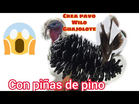 COMO HACER UN PAVO con PIÑAS DE PINO /GUAJOLOTE/WILO/como hacer un pavo, Guajolote fácil DIY. 2020.