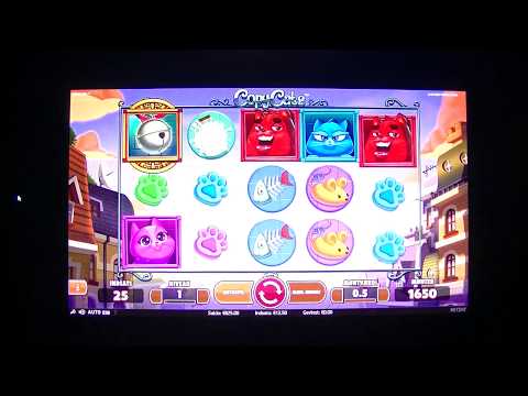 MongoTV_3594 - Mongo Casino - Del 200 - Spillemaskiner - Copy Cats