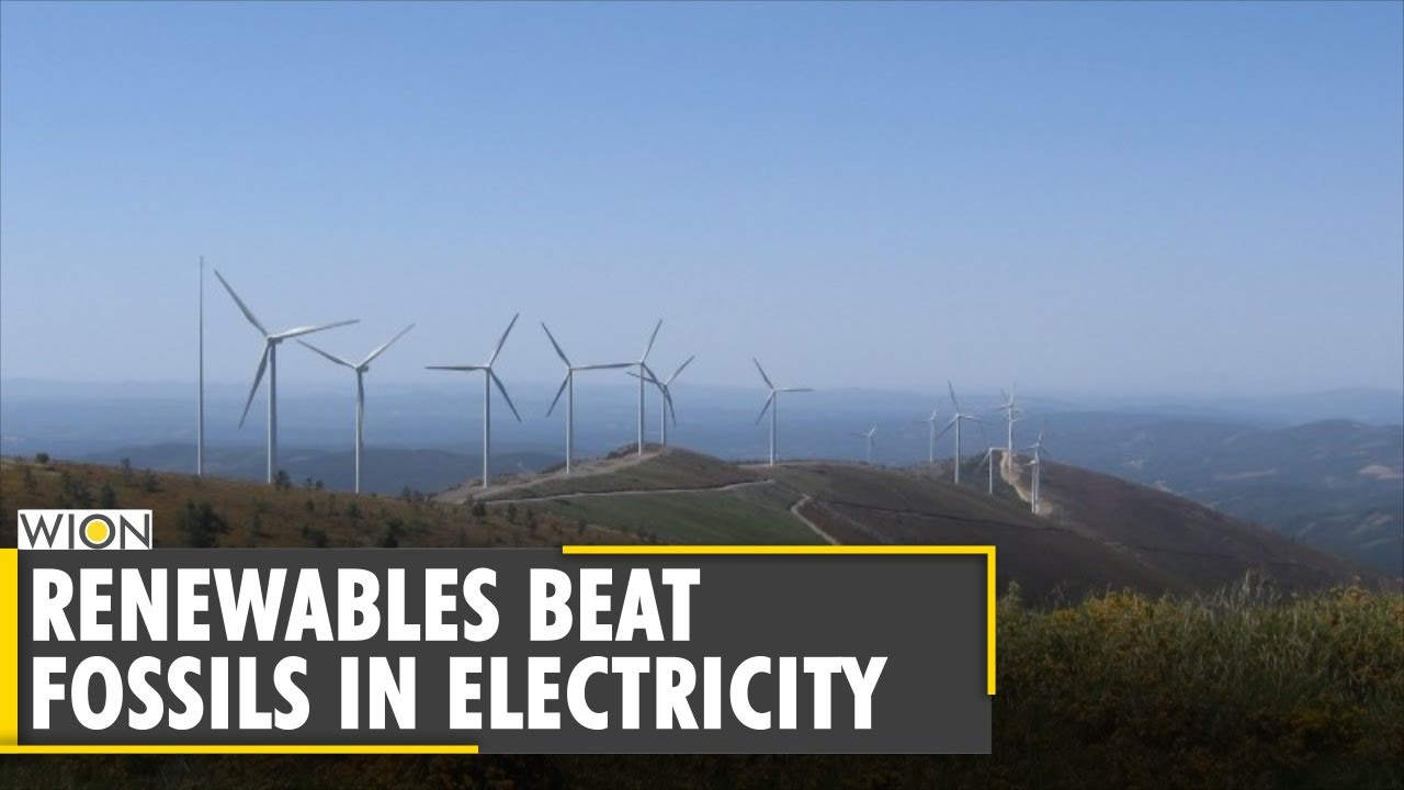 Renewables beat fossil fuels in electricity mix in EU | World News | WION News