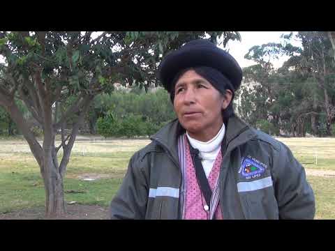MOJINETE CONSTRUYE VIVEROS PARA DEVOLVER LA HUMEDAD AL LUGAR