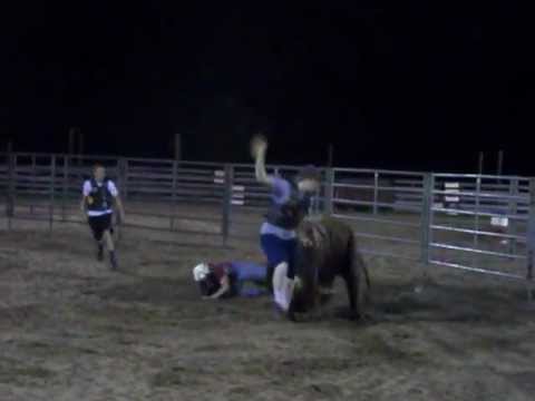 Dusty Getting Tripped by the Bull.MOV