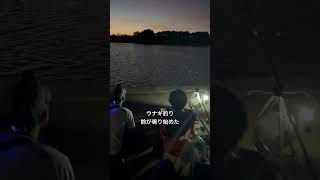 #釣り #フィッシング #海 #ウナギ釣り #釣りガール