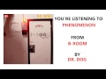 Dr. Dog - "Phenomenon" (Full Album Stream)