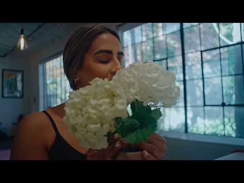 La Energía Norteña - Punto Final (Video Oficial)