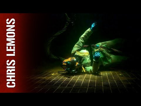 Waterline Stories and 2 more