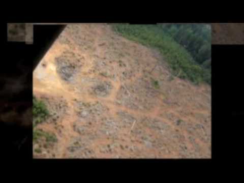 Exposing SFI's greenWASH at Greenbuild