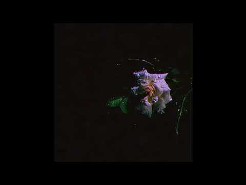 RNS Hunchø - A Letter to You (prod. novajazzbeats) audio visuals