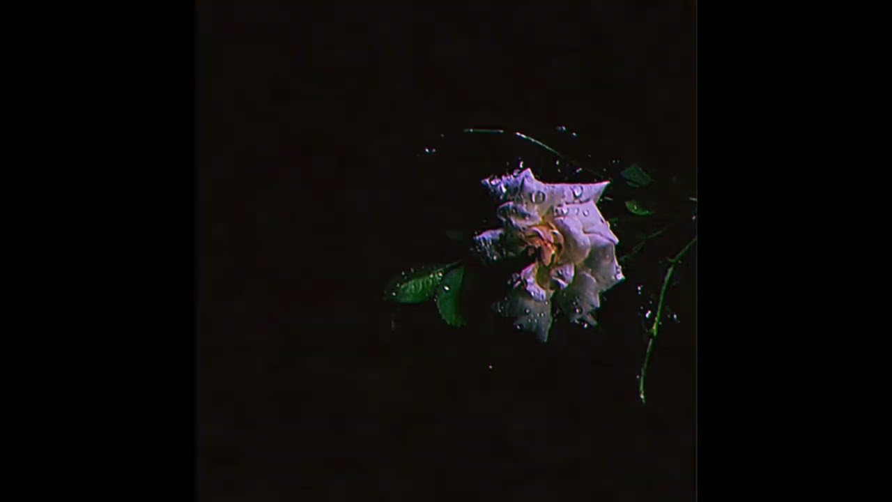 Promotional video thumbnail 3 for RNS Hunchø