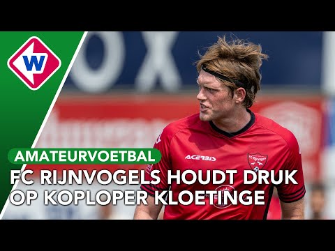 Samenvatting FC Rijnvogels - SVV Scheveningen | Derde Divisie B (07-02-2026)