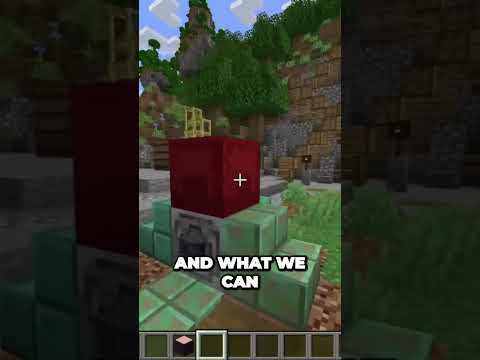 Transforming Minecraft Nether with Infected Tree Stems  Epic Build Hack
