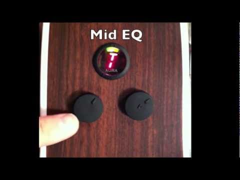 Martin's Fishman F1 Aura Preamp: What it is and how to use it.