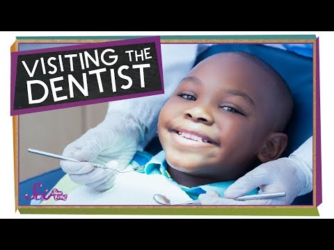 Visiting the Dentist! | Health for Kids | SciShow Kids