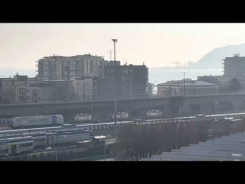 MRS 54333 Savona Parco Doria - Rosignano