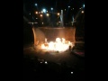 Circus Tigers