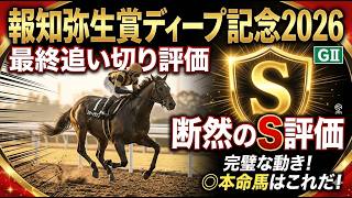 報知弥生ディープ記念　最終追い切り評価｜S評価はあの馬です！