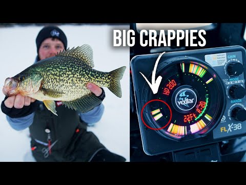 GIANT Early Ice Crappies are BITING! (onXFish Finds Them)