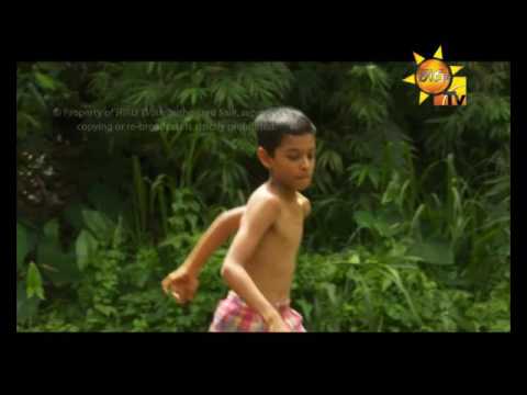 Hiru TV