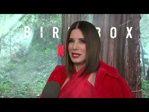 At a New York screening of her new film "Bird Box," Sandra Bullock has an idea for how to solve the Oscars’ host problem: pull random actors out of the audience and make them read what’s on the teleprompter. (Dec. 18)