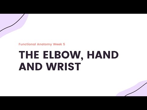 Functional Anatomy Week 5: The Elbow, Hand and Wrist