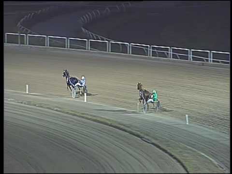 Trotto 04/09/2016 - 2° prova di qualifica