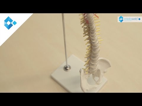 Injektionen mit Hyaluronsäure für die Hüftgelenke Kerzen von Erkrankungen der Gelenke