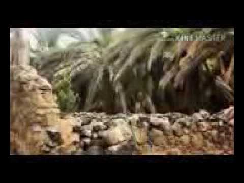 MAULANA KHALIL DIWAWALA BARDOLI 12 06 2010