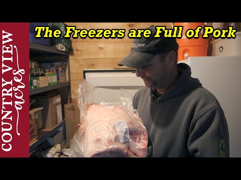 The Pigs are Back from the Butcher Let's Talk End...