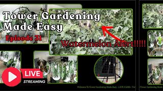 Tower Gardening Made Easy LIVE CAM #towergarden #hydroponicgardening #garden #farm #aeroponic
