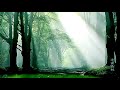 James Galway _ Song of the Deep Forest