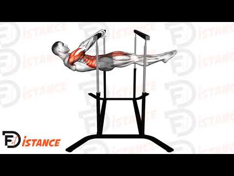 Exercice Front lever hold