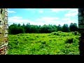 Алиса - В Путь.... 