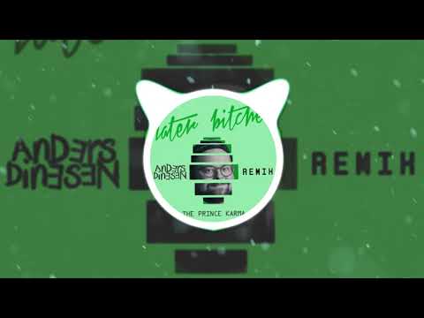 The Prince Karma - Later Bitches (Anders Dinesen Remix)