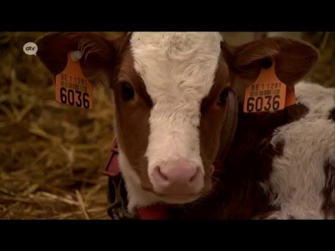 Rondje provincie - Werk in je provincie (aflevering 1)