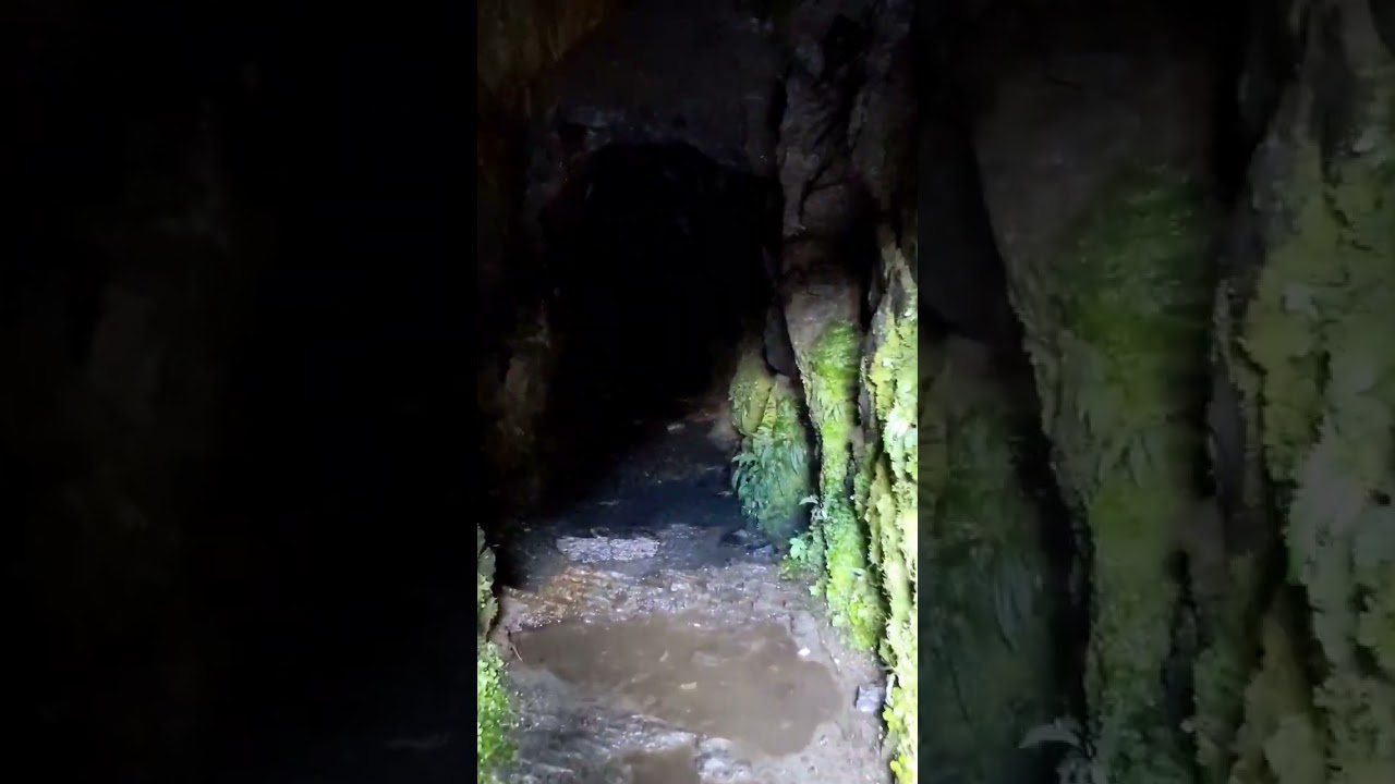 YouTube Short thumbnail