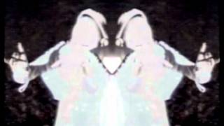 Sopor Aeternus & The Ensemble of Shadows - 05 The Dog Burial