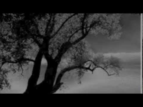 Über Den Dächern - Music by Kopfschuettelmusik Vocals by Mirandea