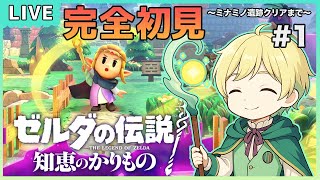 【完全初見】ゼルダの伝説知恵のかりもの【#サーモンラン/#新人vtuber】