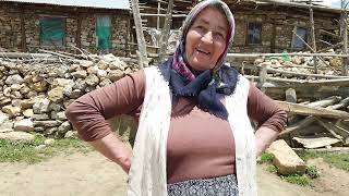 Seyitlerin Halakası Kürebeli Yaylası Tufanbeyli'de Doğal Yaşam Hayvancılık