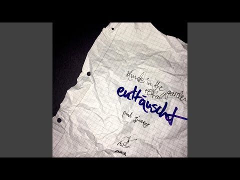 Enttäuscht (feat. redfall)