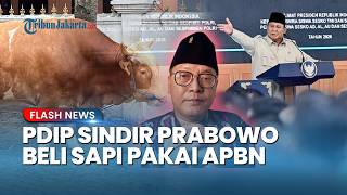 Guntur Romli Sebut Anggaran Sapi Kurban Presiden Rp100 Miliar dari APBN Salahi Aturan Syariat