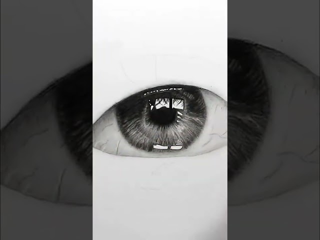 Vídeo relacionado con Kawaii. El arte japonés de para dibujar cosas monas: Ideas, técnicas y consejos para principiantes y expertos (NO FICCIÓN)