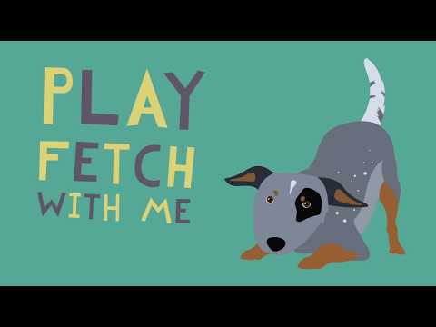 Play Fetch in the Park with Haida the Australian Cattle Dog
