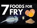 Top 7 Foods for Fry (Baby Fish)