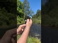 Dieser DJI Osmo Pocket 3 Kann SCHWIMMEN Sehen Sie Das Wasserdichte Gehäuse Des Osmo Pocket