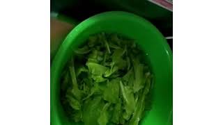 WOW^^ Berkat #bioglassmci ini, SAYUR LADA nya BANGUN ^^SILAKAN NONTON LANGSUNG