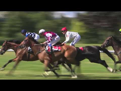 5. dostih - 91. Cena města Karlovy Vary / Memoriál J. Dolejšího - dostihy Karlovy Vary 26. 7. 2020